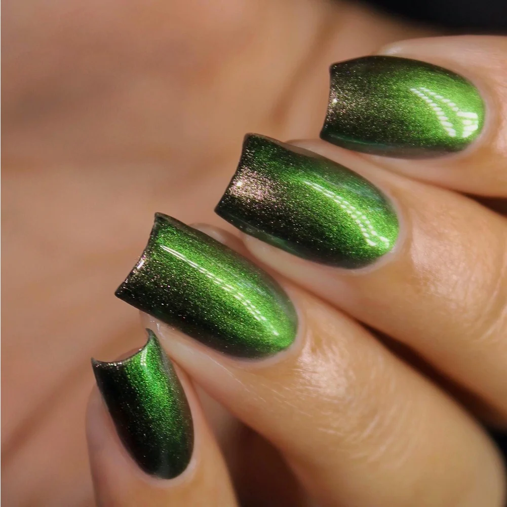 Chameleon Coat - Image 4