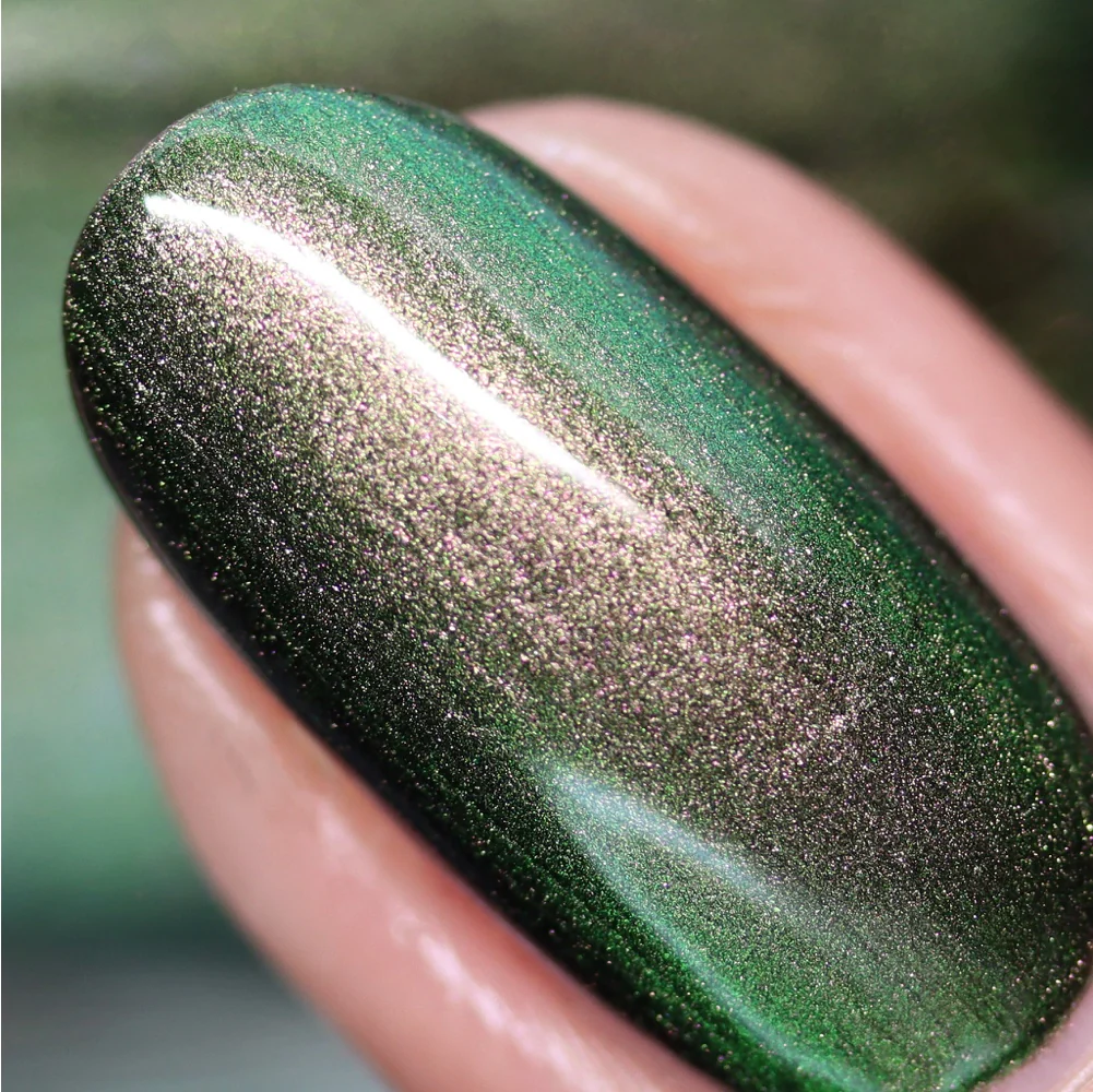 Chameleon Coat - Image 6