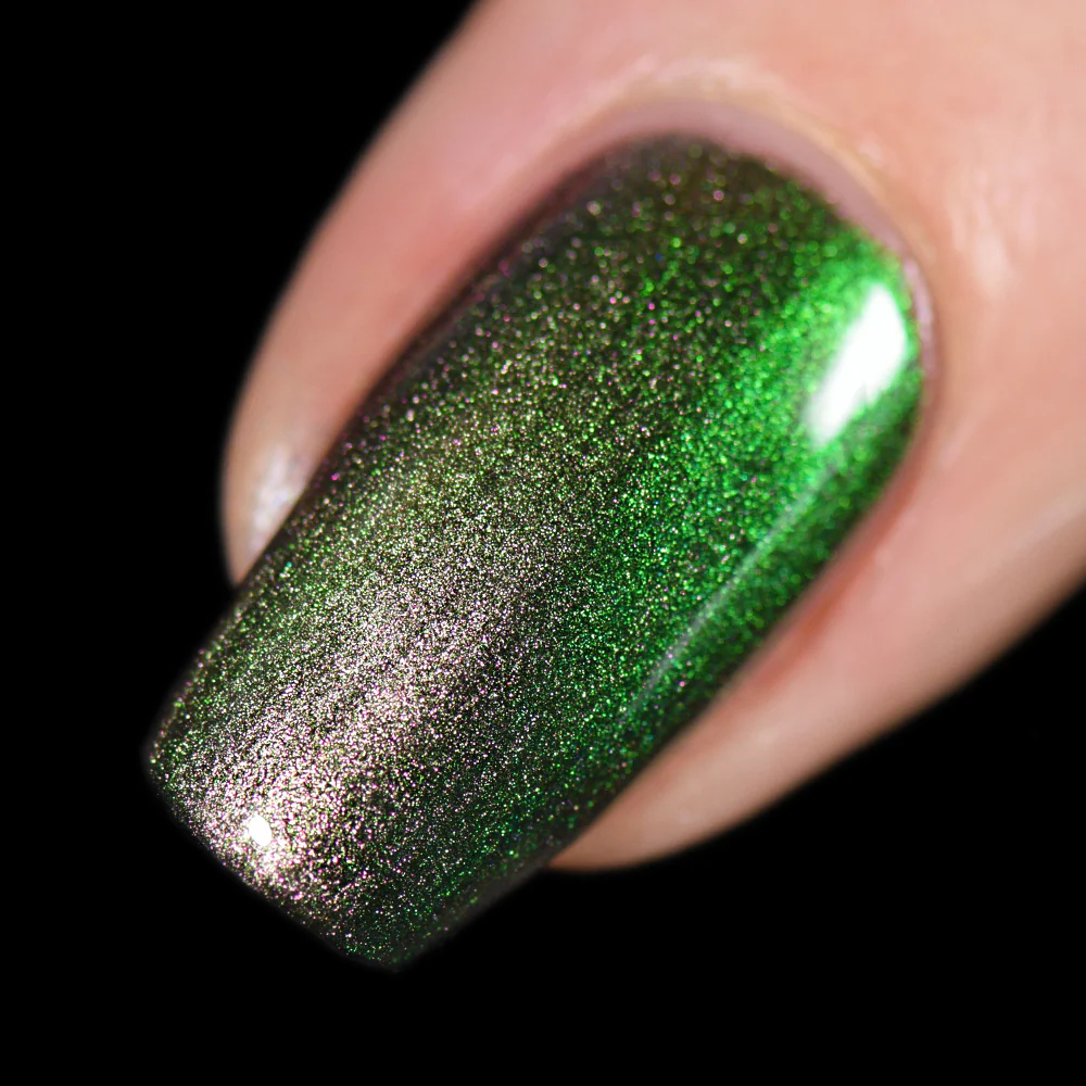 Chameleon Coat - Image 7
