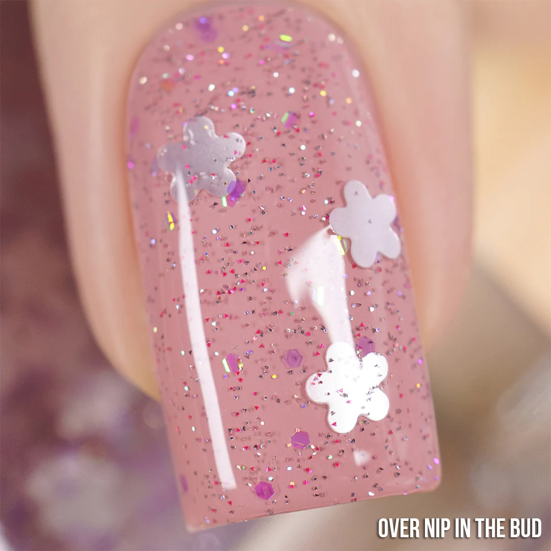 Garden Party Taco (Birthday Gift) - Image 6