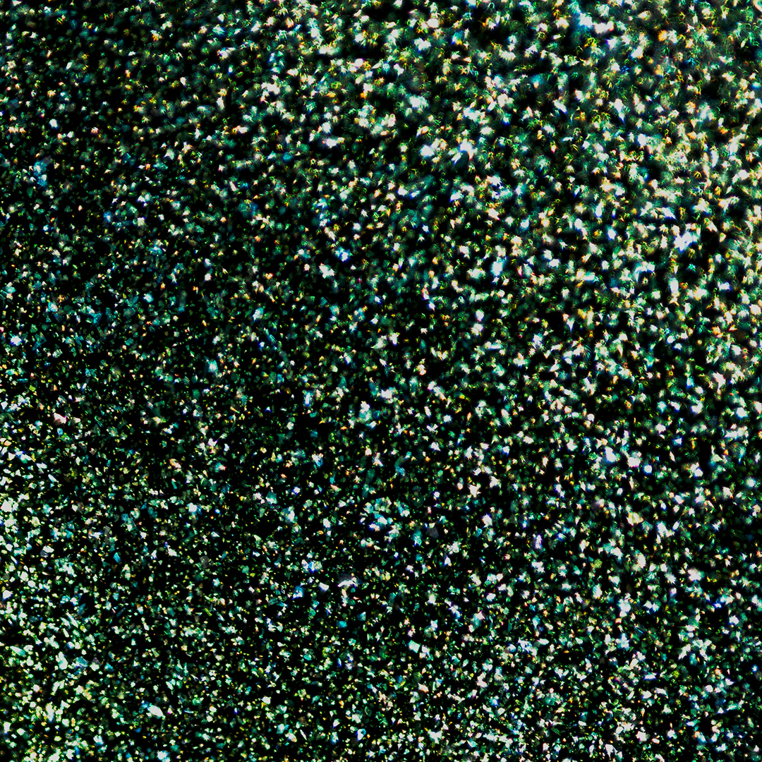 Ivy League - Image 14